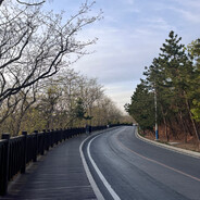 南極民間觀測隊