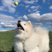 我知道你很急但是先来我家玩吧