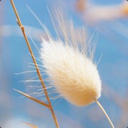 原来你也玩？？