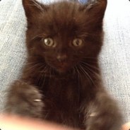 Big Avatar