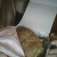 {name}'s avatar