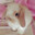 🐇