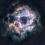 Nocthera