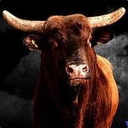 BullSaysHi.Ttv