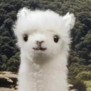 终有弱水替沧海