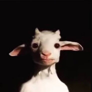 𝑲𝑶𝒁𝑬𝑳's avatar