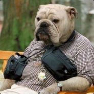 在党的指引下向着胜利前进