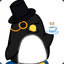 The Dapper Penguin