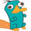 PerryThePlatypus