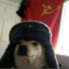 двадцать три