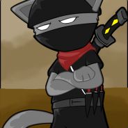 Ninjacat698