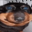 GORT