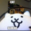 cat_gaming