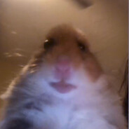 бульбузатор