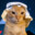 Arabian Cat