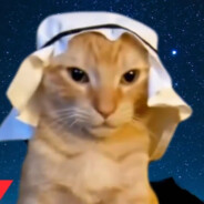 Arabian Cat
