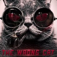 TheWrongCat