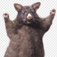 opossum - steam id 76561198124558112