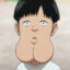 Bubr