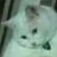 吃什么呢，给我也来口