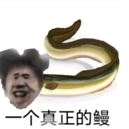 干拉  劝导 不听 虚~~~