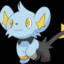 Shinx