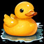 SUGAR DUCKY