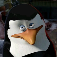 Kowalski - steam id 76561198989742515