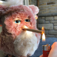 老弟你有什么实力