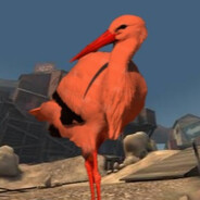 avianorange