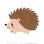BoBo the Friendly Hedgehog