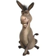 BurrinDoShrek