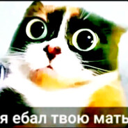 Анальный скинодр