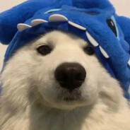 gexyo