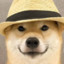 Dog with hat