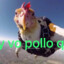 EL POLLO