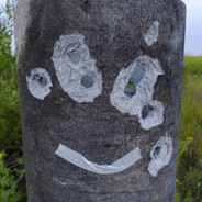 Berettikus