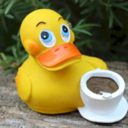 coffeeduck