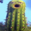 Elcactuspollasama