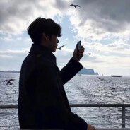 人间有味是清欢