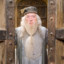 Albus Doubledoors