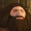 PS2 Hagrid