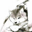double狐