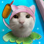 CoolGamer5293
