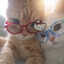 HANDSOME