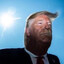 Donald J Trump