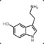 Serotonin Syndrome