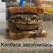 The Seller Of Frogs