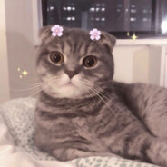 女人我的卡你随便刷C556