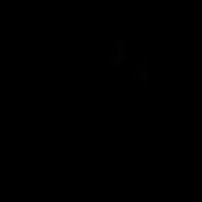 123